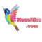 kocorica .com